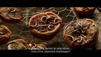 T.S. Spivets fantastiska resa - TRAILER