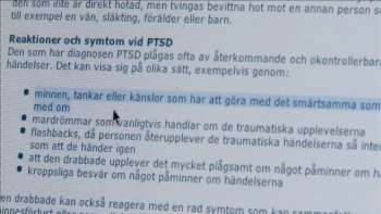 Gerillasonen av David Herdies & Zanyar Adami