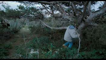 BORTOM LAMPEDUSA